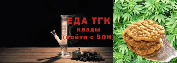 соль ск Инсар