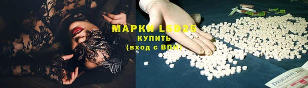 соль ск Инсар