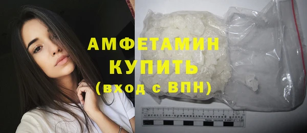 соль ск Инсар