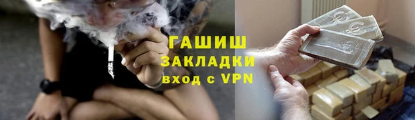 соль ск Инсар