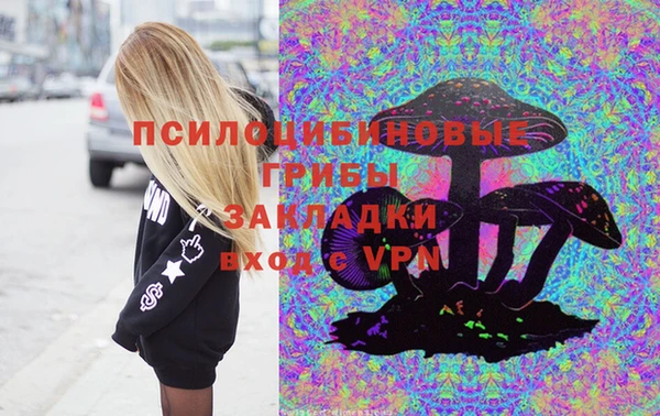 меф Инта