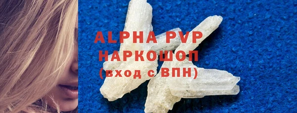 соль ск Инсар