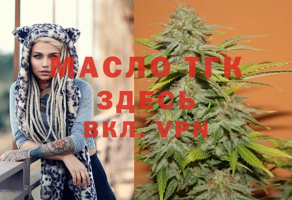 соль ск Инсар