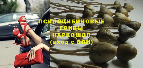 соль ск Инсар
