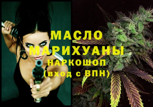 соль ск Инсар