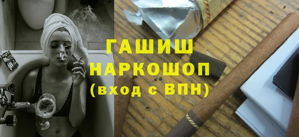 соль ск Инсар