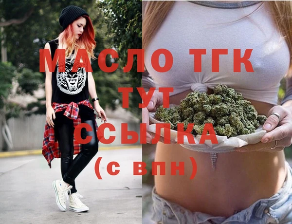 соль ск Инсар